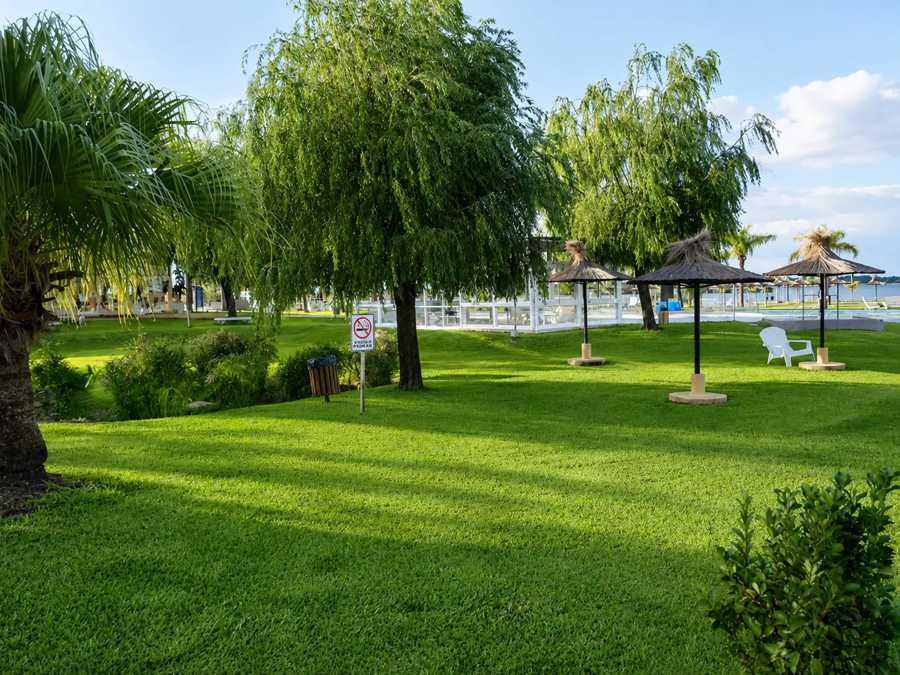 Césped con sombra, sauces y sombrillas de paja en el parque costero cercano a la casa
