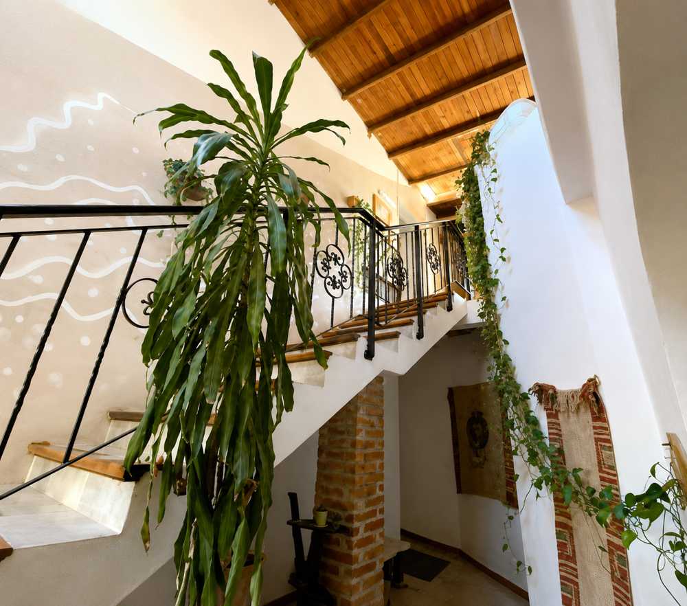 Escalera interior con baranda de hierro, techo de madera y plantas colgantes dentro de la casa